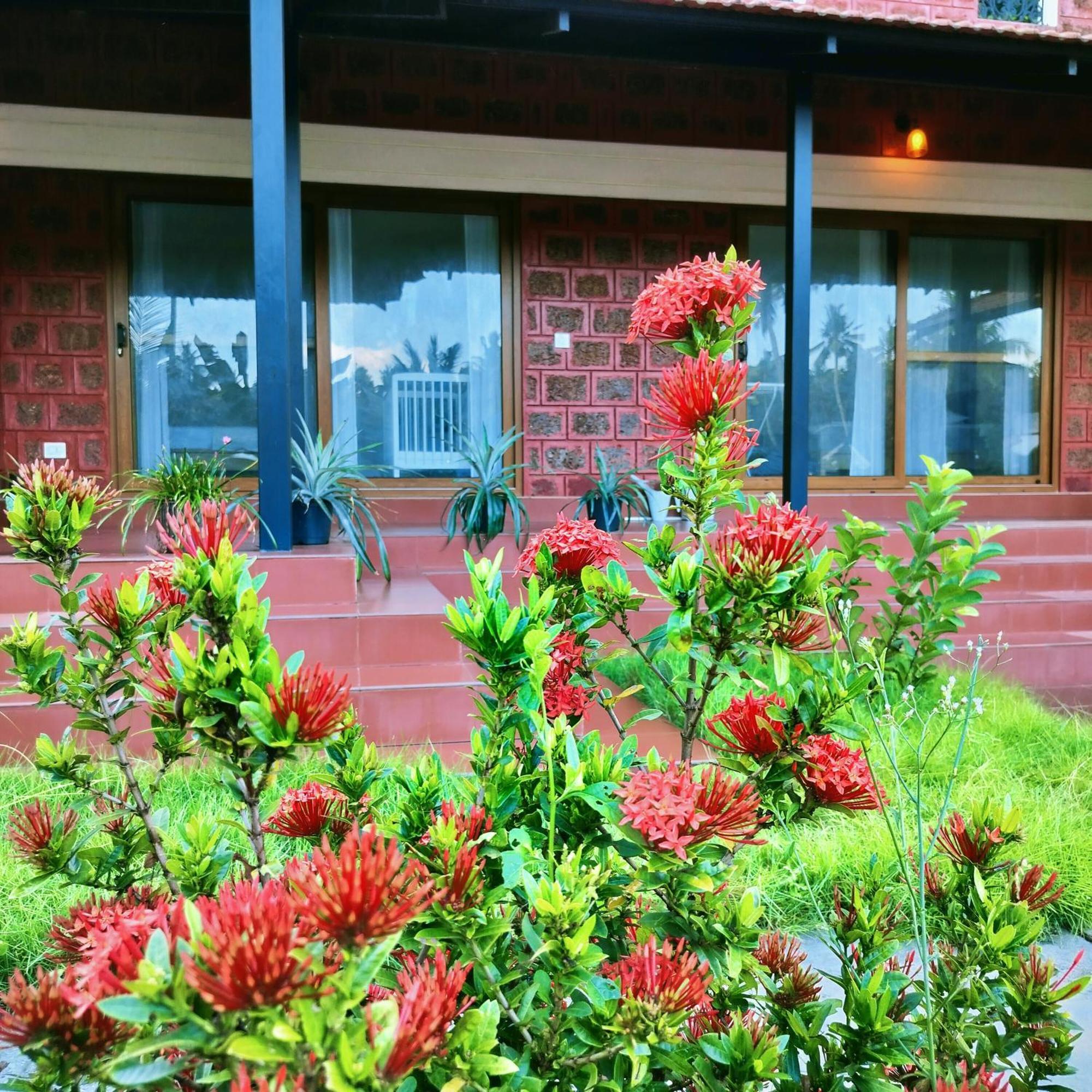 ורקלה The Ixora - A Boutique Homestay מראה חיצוני תמונה